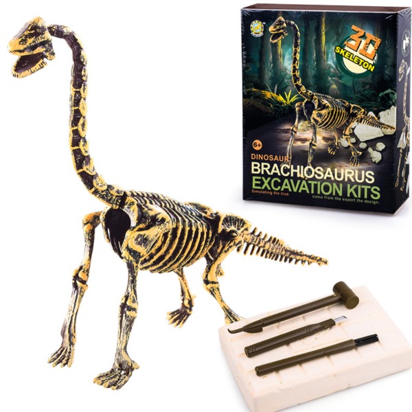 DINOSAUR EXCAVATION KITS_Brachiosaurus NO.503 공룡화석발굴 과학키트 DIY조립상품
