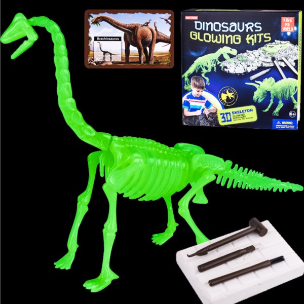 DINOSAUR GLOWNG KITS_Brachiosaurus NO.803 야광공룡화석발굴 과학키트 DIY조립상품