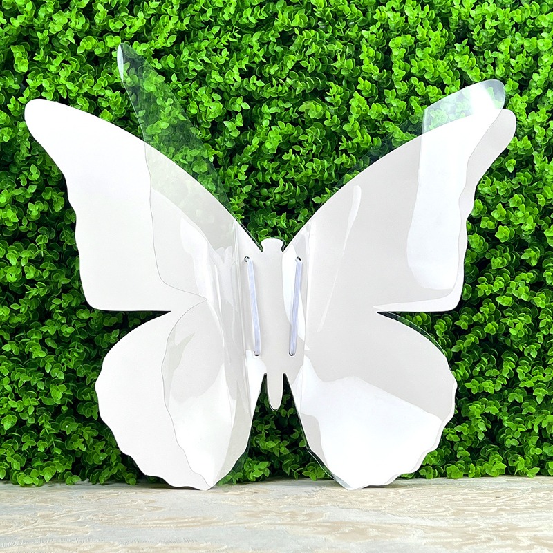 DIY 투명+종이 입어보는 큰 나비 날개